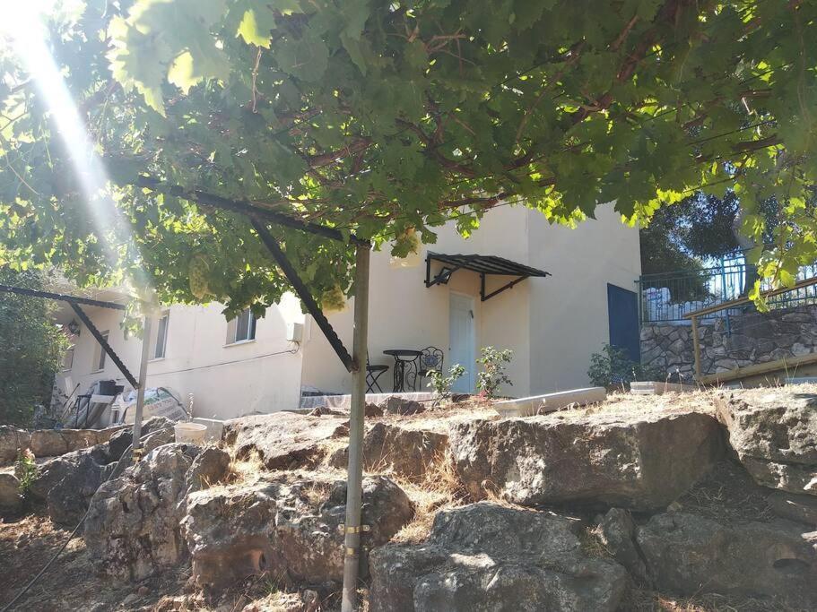 הבית ליד הבוסתן Mikhmannim Exterior photo