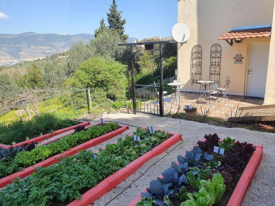 הבית ליד הבוסתן Mikhmannim Exterior photo